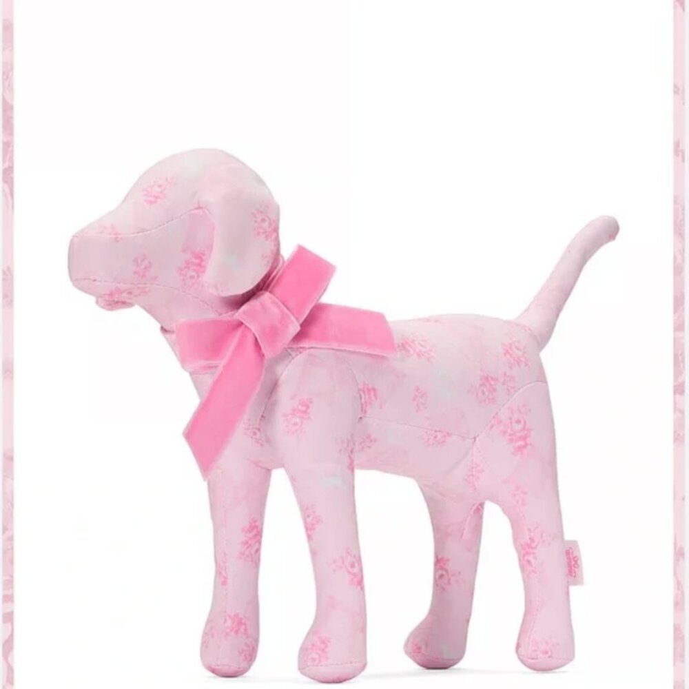 NEW LoveShackFancy x PINK Medium Dog in Beaux Icons